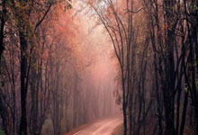 NG体育：特邀12岁男孩跑半马，组委会违规更值得警惕｜新京报快评.