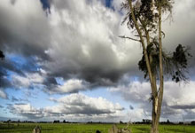 NG体育：李磊拜合拉木进球塞尔吉尼奥替补 国3比1科威特.