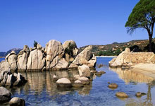 NG体育：高意 吴梦洁 庄宇珊.